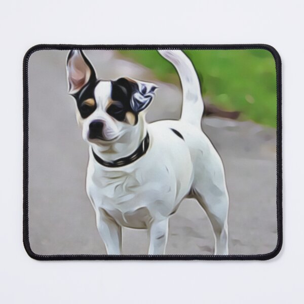 Item preview, A charming tricolor Chihuahua standing on a path. designed and sold by ZoroDesign.