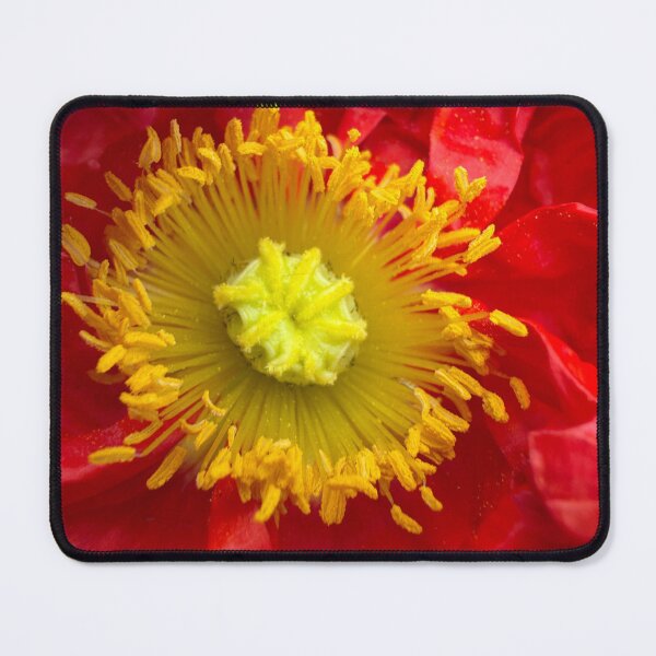 Item preview, Sculpted From Fire and Silk designed and sold by Betsy Phillips.