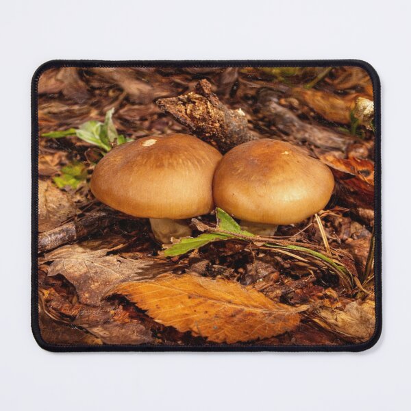 Item preview, Impressionist Autumn Mushrooms in Arkansas Forest designed and sold by Blossom-Breeze.
