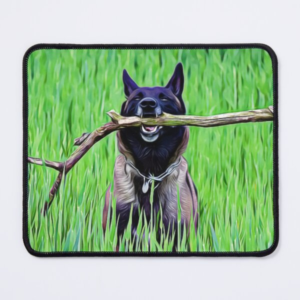 Item preview, A happy Belgian Malinois carrying a branch in a lush field. designed and sold by ZoroDesign.