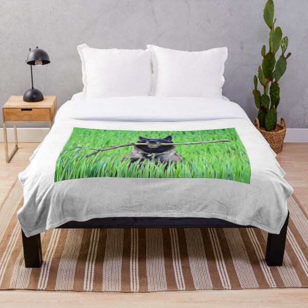 Item preview, A happy Belgian Malinois carrying a branch in a lush field. designed and sold by ZoroDesign.
