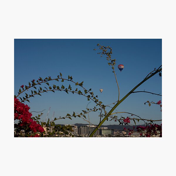 Item preview, Brisbane, balloons and bougainvillea  designed and sold by Margaret Whyte.