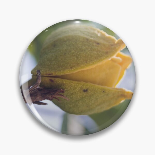 Item preview, Soursop designed and sold by ROSE ANN BANILAR.
