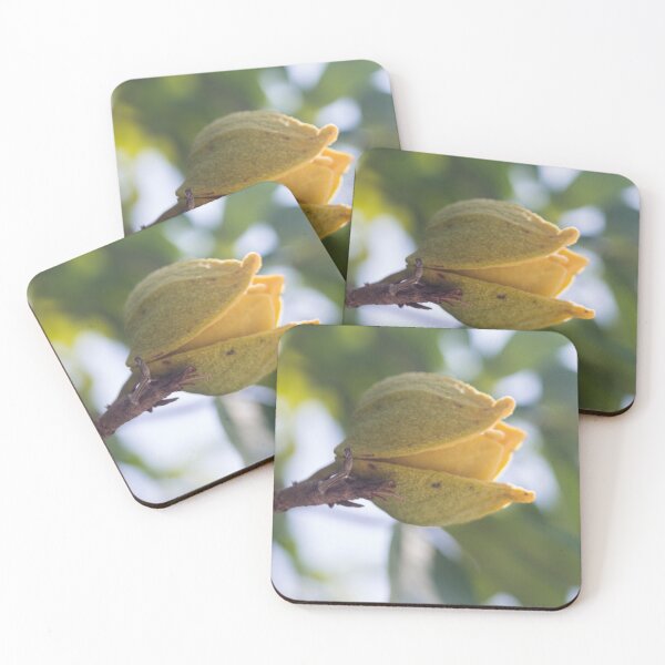 Item preview, Soursop designed and sold by ROSE ANN BANILAR.