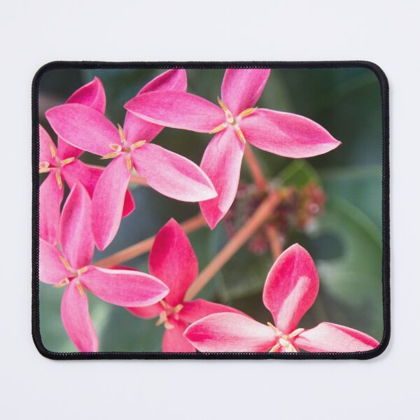 Item preview, Ixora designed and sold by ROSE ANN BANILAR.