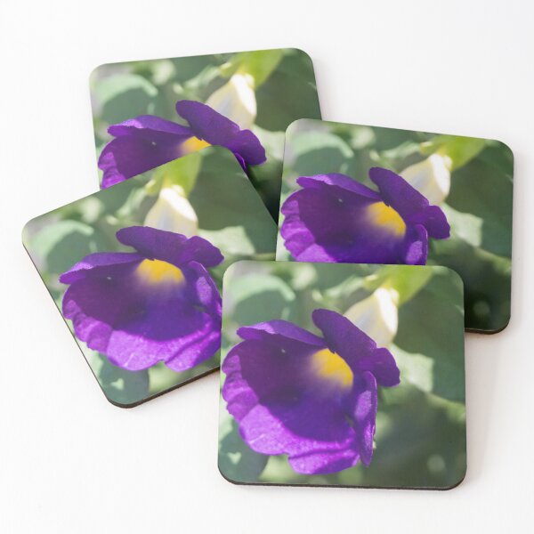 Item preview, Bush Clock Vine designed and sold by ROSE ANN BANILAR.