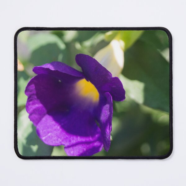 Item preview, Bush Clock Vine designed and sold by ROSE ANN BANILAR.