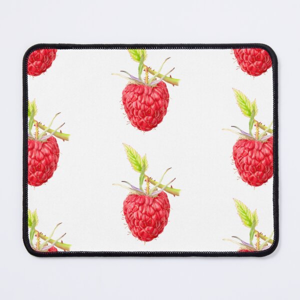 Item preview, Raspberry on stem with leaf designed and sold by craftnhome.