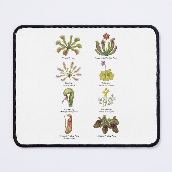 Item preview,  Carnivorous Plants designed and sold by ArunDandiboina.