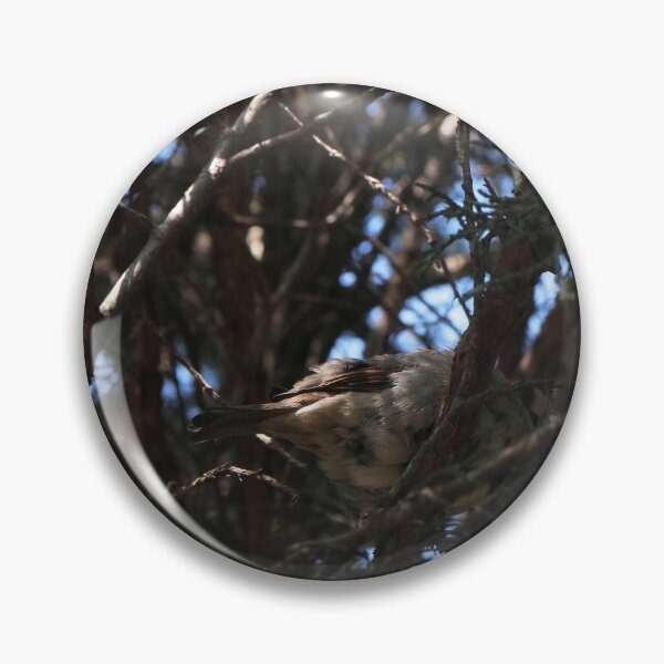 Item preview, Funny Bird Butt in Branches - Goblincore Nature Photo designed and sold by vikko-art.