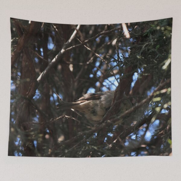 Item preview, Funny Bird Butt in Branches - Goblincore Nature Photo designed and sold by vikko-art.
