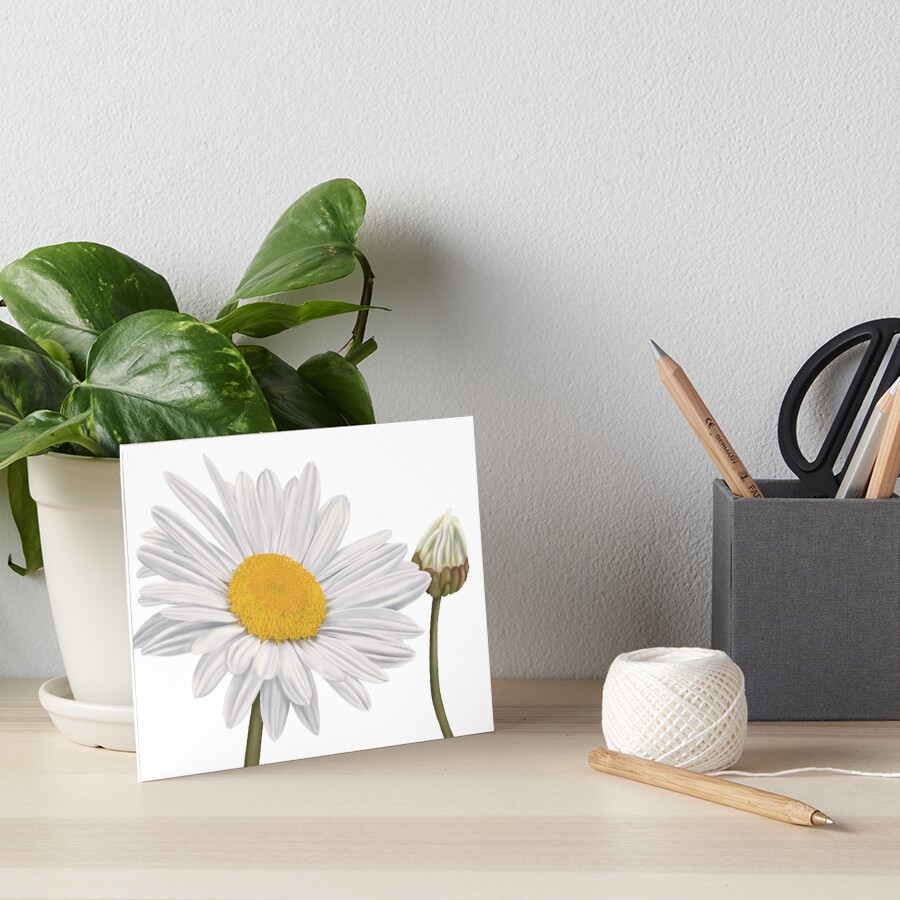 Item preview, Art Board Print designed and sold by Judithoc.