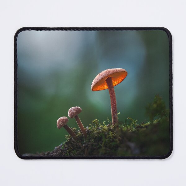 Item preview, Among Kin designed and sold by A Divergent  Lens.