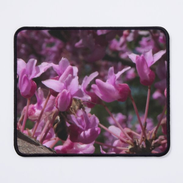Item preview, Honey Bee Pollinating Pink Flowers Macro-Nature Photo designed and sold by vikko-art.