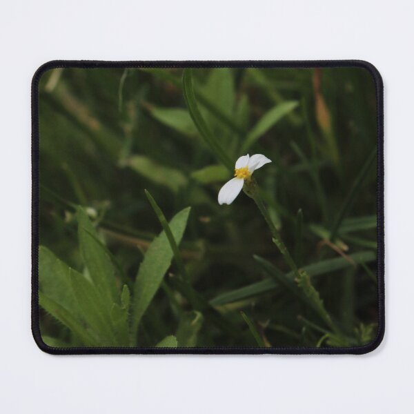 Item preview, Tiny White Flower on a Long Stem - Moody Nature Macro designed and sold by vikko-art.