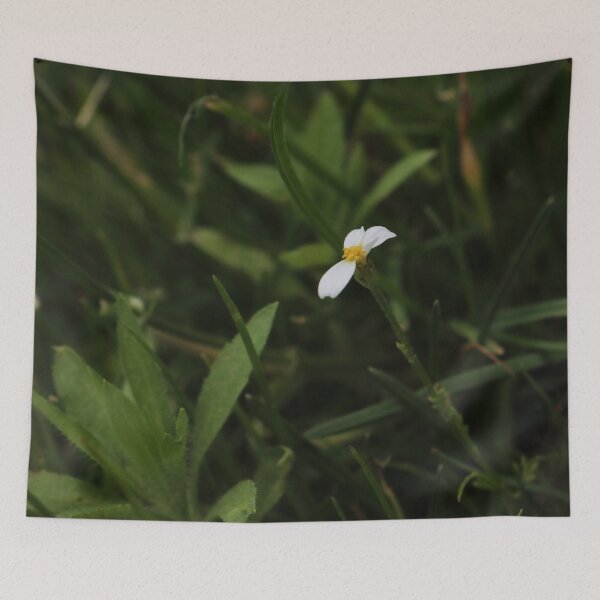 Item preview, Tiny White Flower on a Long Stem - Moody Nature Macro designed and sold by vikko-art.