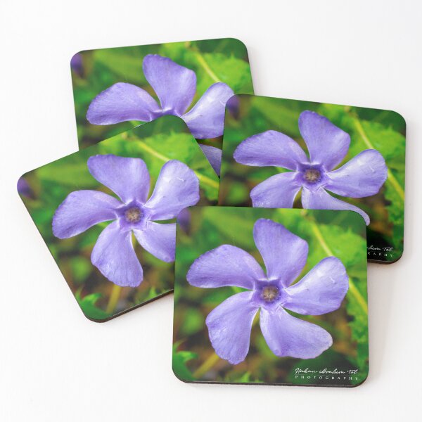 Item preview, Violet Silence | Minimalist Purple Flower Macro designed and sold by DrTol.