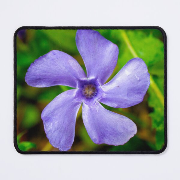Item preview, Violet Silence | Minimalist Purple Flower Macro designed and sold by DrTol.