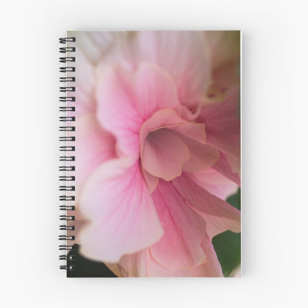 Item preview, double bloom hibiscus designed and sold by ROSE ANN BANILAR.