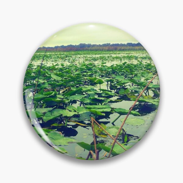 Item preview, Everglades  designed and sold by Courtney Croxall.