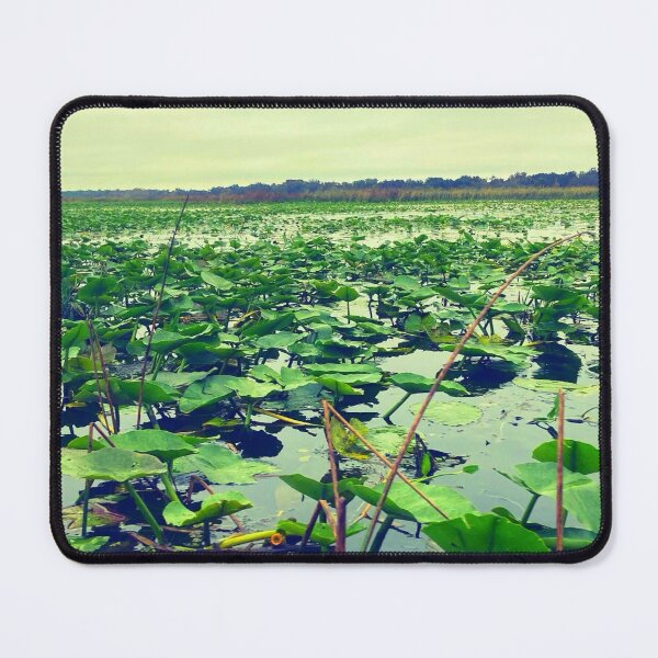 Item preview, Everglades  designed and sold by Courtney Croxall.