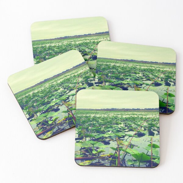 Item preview, Everglades  designed and sold by Courtney Croxall.