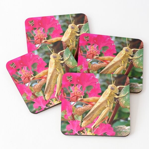 Item preview, Grasshopper designed and sold by Courtney Croxall.