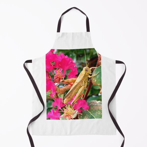 Item preview, Grasshopper designed and sold by Courtney Croxall.
