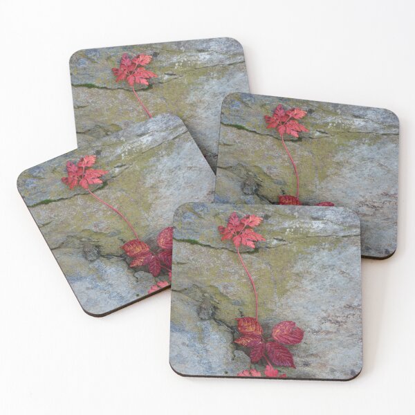 Item preview, Red Leaves Growing Through Rock – Minimal Nature Contrast designed and sold by onubi.