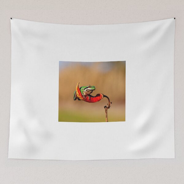 Item preview, Frog Sitting on Red Flower Minimal Nature Photography designed and sold by onubi.