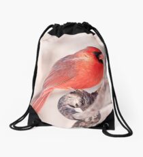 See'ng Red Drawstring Bag