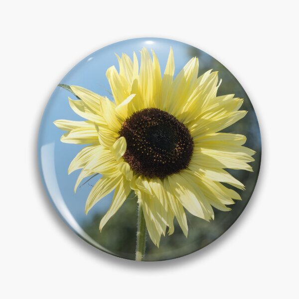 Item preview, Bold Lemony Yellow Sunflower Bloom designed and sold by Georgia Mizuleva.