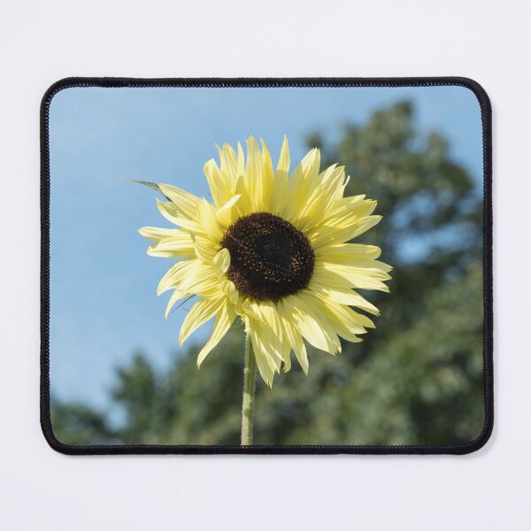 Item preview, Bold Lemony Yellow Sunflower Bloom designed and sold by Georgia Mizuleva.