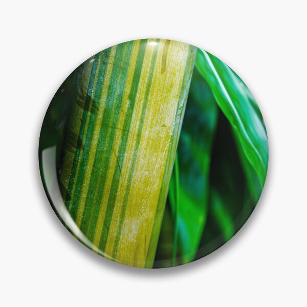 Item preview, Green Bamboo with leaves background designed and sold by ea-photos.