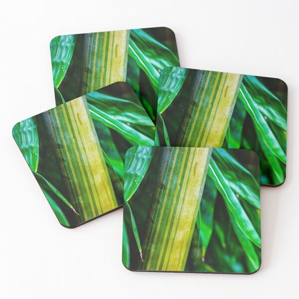 Item preview, Green Bamboo with leaves background designed and sold by ea-photos.