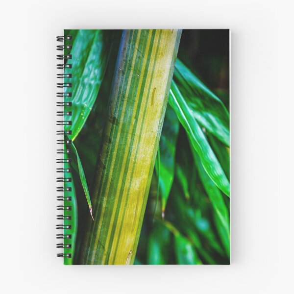 Item preview, Green Bamboo with leaves background designed and sold by ea-photos.