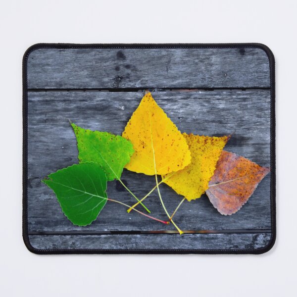 Item preview, Autumn Leaves Color Transition designed and sold by onubi.
