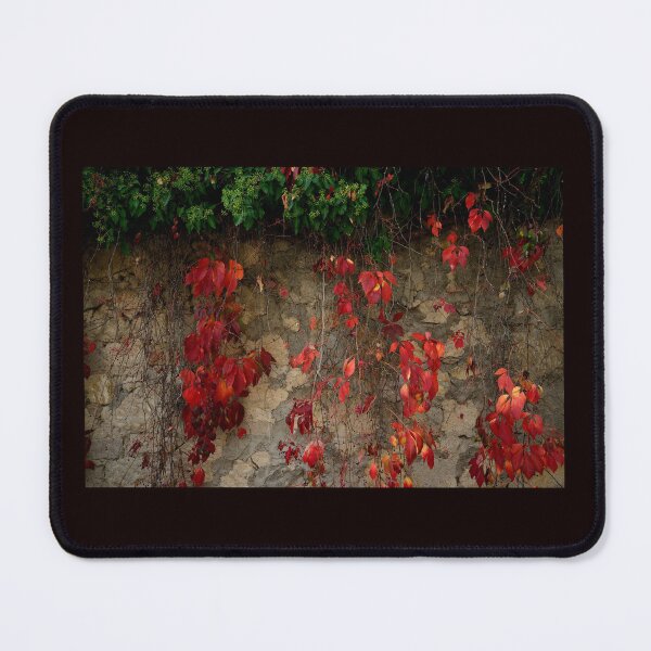 Item preview, Red Autumn Leaves on Stone Wall designed and sold by onubi.