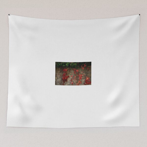 Item preview, Red Autumn Leaves on Stone Wall designed and sold by onubi.