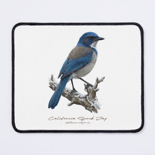 Item preview, California Scrub Jay on Snowy Branch designed and sold by Takeda-art.
