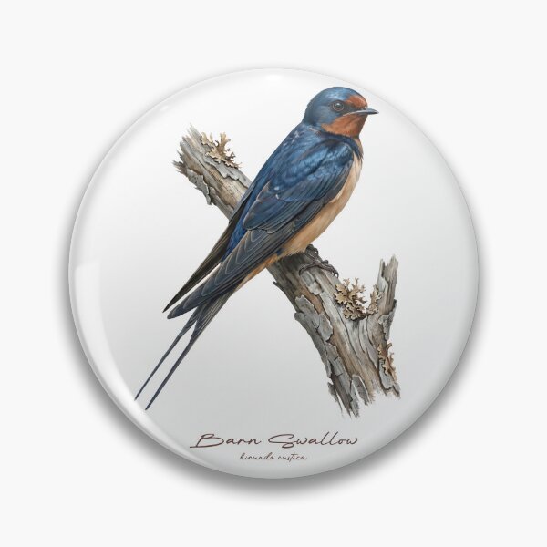 Item preview, Barn Swallow on Branch designed and sold by Takeda-art.