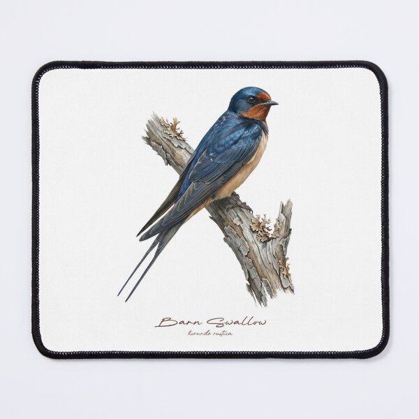 Item preview, Barn Swallow on Branch designed and sold by Takeda-art.