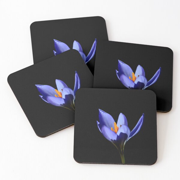 Item preview, Purple Crocus Flower on Black Background designed and sold by onubi.