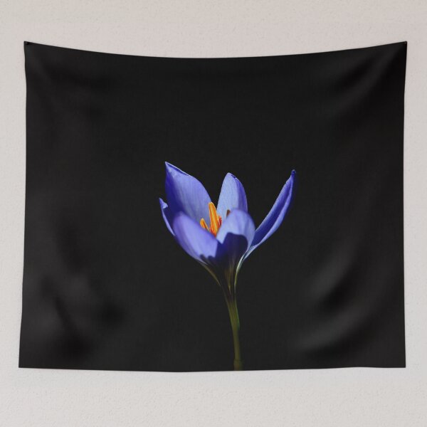 Item preview, Purple Crocus Flower on Black Background designed and sold by onubi.