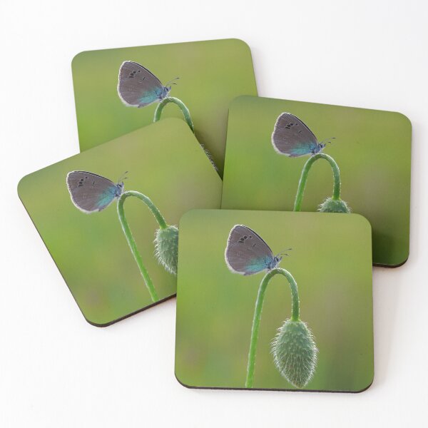 Item preview, Butterfly Resting on Curved Green Stem designed and sold by onubi.
