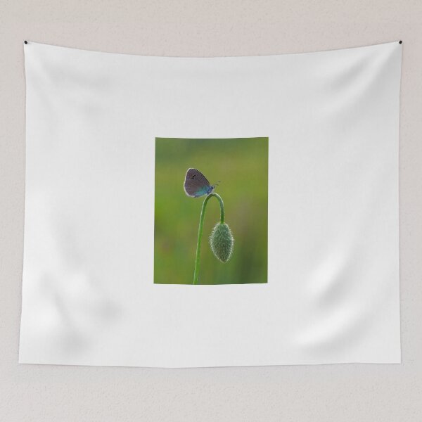 Item preview, Butterfly Resting on Curved Green Stem designed and sold by onubi.