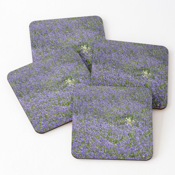 Item preview, Albino English Bluebells designed and sold by John Gilham - Landscape Photography.