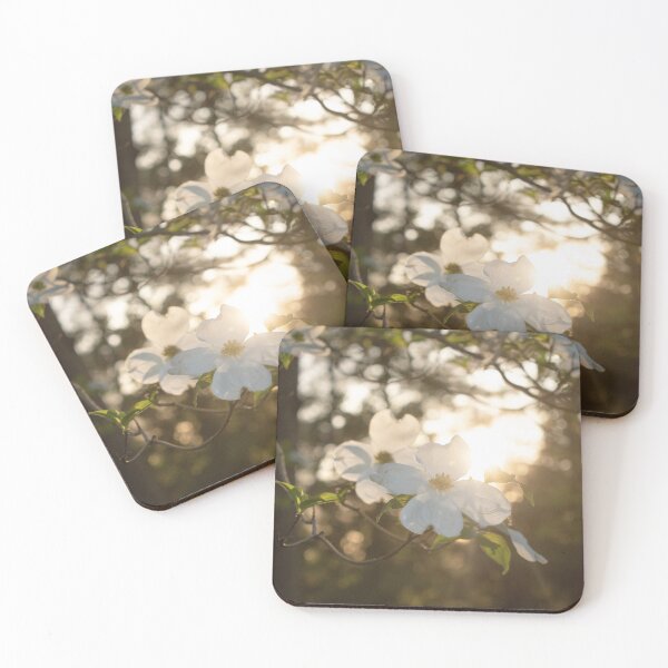 Item preview, A Moment Touched by Heaven designed and sold by MeghanLynnPhotography.