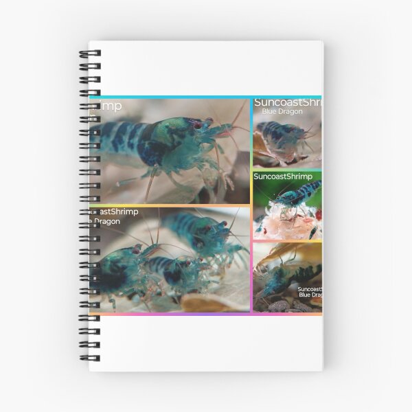Item preview, Blue Dragon Caridina Shrimp  designed and sold by SuncoastShrimp.