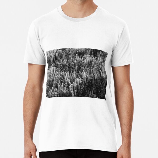 Item preview, Blackheath morning designed and sold by Willscape.